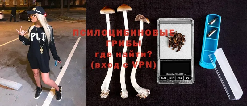 гидра как войти  Златоуст  Галлюциногенные грибы MAGIC MUSHROOMS 